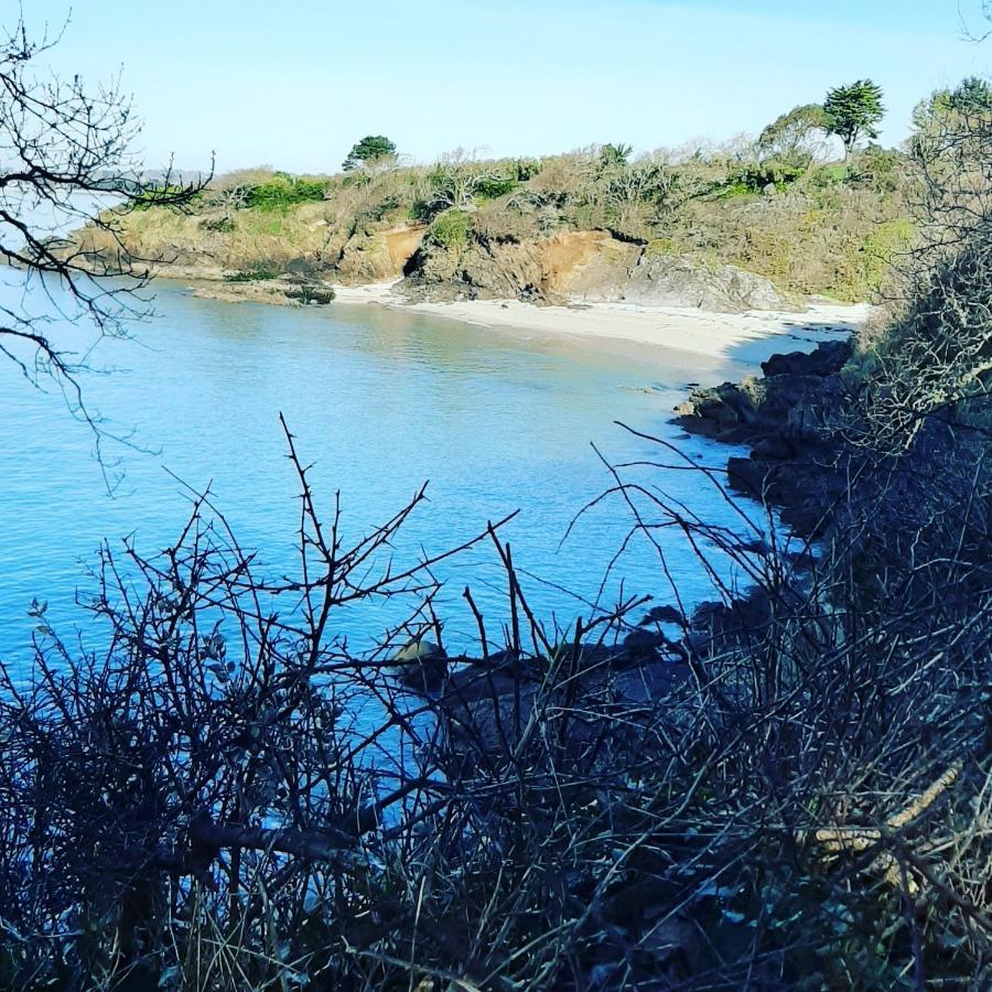 Le 3 Appartement Vue Mer Avec Jardin 100M De La Plage Et De La Thalasso Concarneau Exteriér fotografie